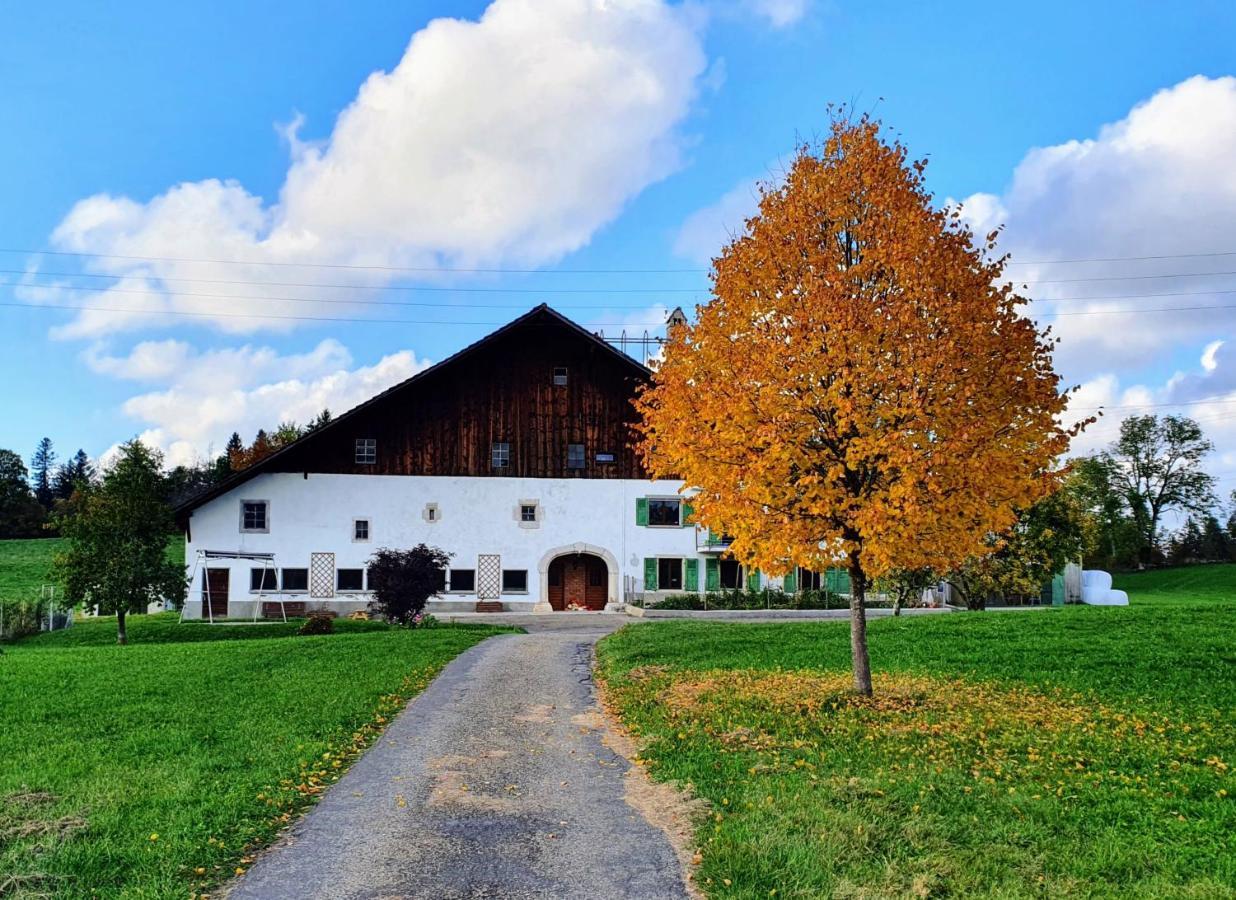 O Valanvron - Appartement Dans Une Ancienne Ferme Neuchateloise La Chaux De Fonds Eksteriør bilde